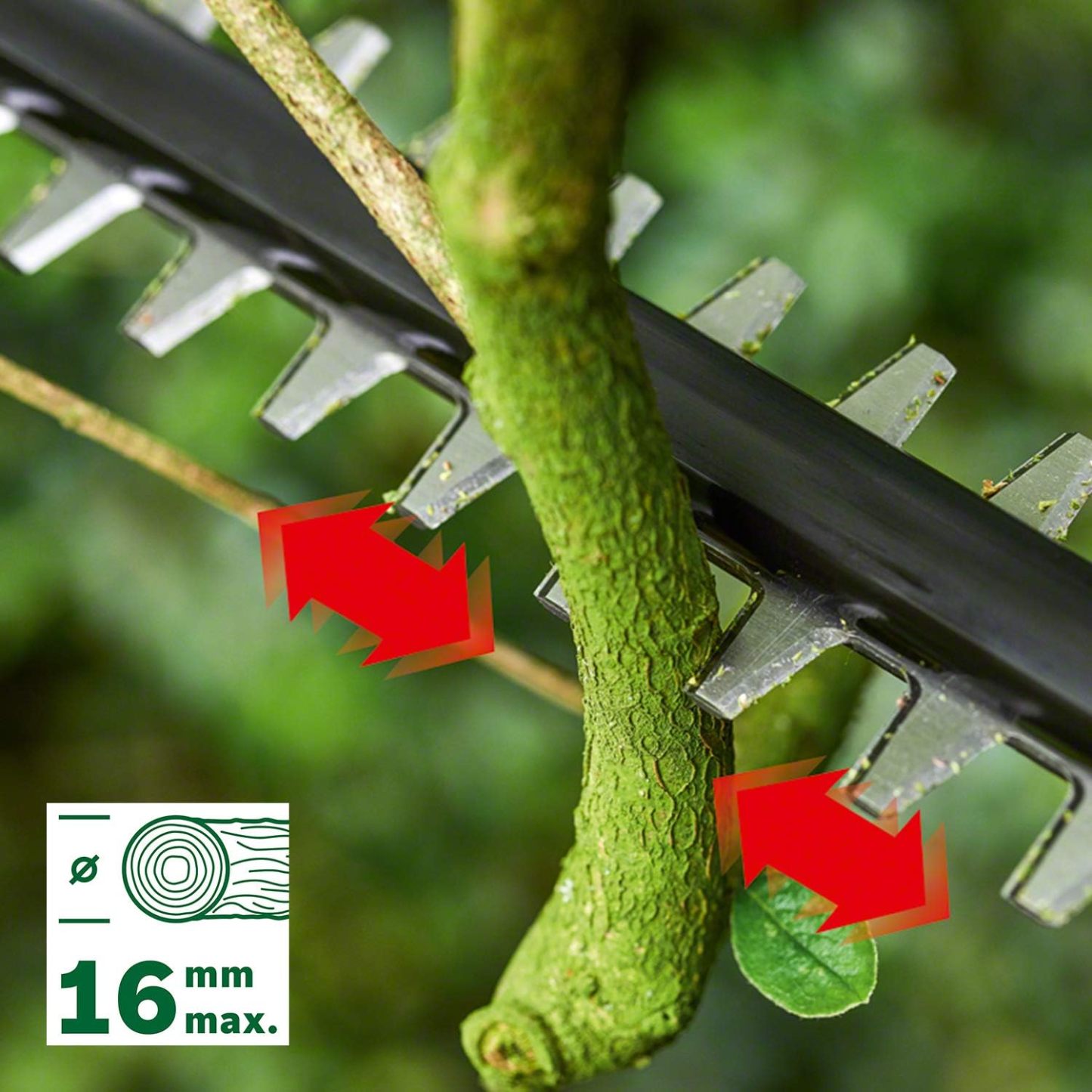 Bosch Akku Teleskop Heckenschere UniversalHedgePole 18 (1 Akku, 2,5 Ah, 18 Volt System, im Karton)